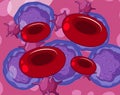 Red white blood cells and platelets Royalty Free Stock Photo