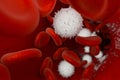 Red and white blood cells in the blood vessel, 3d rendering Royalty Free Stock Photo