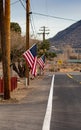 American flags on display during Veterans Day in a rural area. Royalty Free Stock Photo