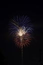 Red, white and blue fireworks against a black sky Royalty Free Stock Photo