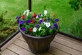 Red, White, and Blue petunias blooming in a planter on a back yard deck, as a cheerful background Royalty Free Stock Photo