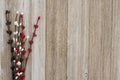 Red, white and blue pip floral berry spray on weathered wood background