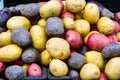 Red, white and blue potatoes Royalty Free Stock Photo