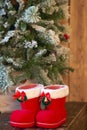 Red with white border Christmas boots under Christmas tree on wooden background Royalty Free Stock Photo