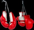 Red and White Boxing Gloves