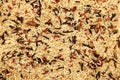 Red, White, Brown Wild Rice Mixed Royalty Free Stock Photo