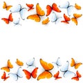 Red and white butterflies on white background