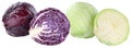 Red and white cabbage sliced fresh food vegetable isolated Royalty Free Stock Photo