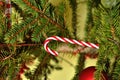 Christmas Candy Ornament on Christmas Tree