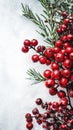 Red and white Christmas tree is adorned with variety of berries, including cranberries. The tree has been decorated