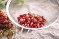 Red and white currant berries being cleaned Royalty Free Stock Photo