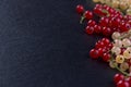 Red and white currant on black background Royalty Free Stock Photo