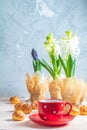 Red in white dotted cup of tea, profiteroles and hyacinths Royalty Free Stock Photo