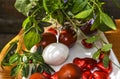 Red and white Easter eggs and chocolate hearts,bouquet of periwinkleÃÂ with ladybug on leaf Royalty Free Stock Photo