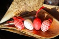 Red and white Easter eggs in pinna nobilis, noble pen shell, macro photography, closeup