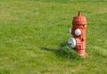 Red and White Fire Hydrant