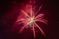 Red and white fireworks with wake effect against the backdrop of the night sky Royalty Free Stock Photo