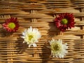 Red and white flowers in bamboo weaven wall Royalty Free Stock Photo