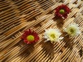 Red and white flowers on bamboo weaven wall Royalty Free Stock Photo