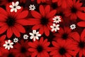 red and white flowers on a black background Royalty Free Stock Photo