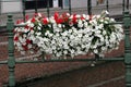 Red and white flowers in flower boxes on a bridge in Lier, Belgium Royalty Free Stock Photo