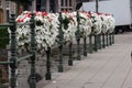 Red and white flowers in flower boxes on a bridge in Lier, Belgium Royalty Free Stock Photo