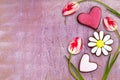 Red - white flowers tulips and gingerbread cookies in the shape of a heart and a camomile on a pastel pink aged wooden background Royalty Free Stock Photo