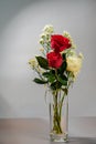 Red and white flowers for Valentine's Day and Christmas gifts. Saint Valentine. Copy space, Background Royalty Free Stock Photo