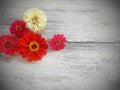 red and white flowers on wood background Royalty Free Stock Photo