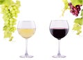 Red and white glass of wine with grapes Royalty Free Stock Photo