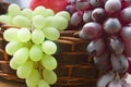 Red and white grape branch in a basket Royalty Free Stock Photo