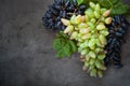 Red and white grapes Royalty Free Stock Photo