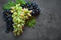 Red and white grapes Royalty Free Stock Photo