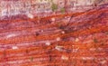 Red White Green Rock Abstract Near Royal Tombs Petra Jordan Royalty Free Stock Photo