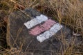 Red and white hike path symbol in the stone Royalty Free Stock Photo