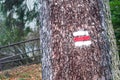 Red and white hiking trail signs symbols on the tree in the forest Royalty Free Stock Photo