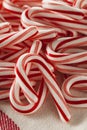 Red and White Mini Candy Canes Royalty Free Stock Photo