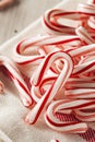 Red and White Mini Candy Canes Royalty Free Stock Photo