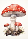 Red and white mushrooms with a listing parasol