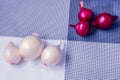 Red and white onion on a background divided into four parts Royalty Free Stock Photo