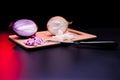 Red and white onion Royalty Free Stock Photo