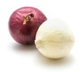 Red and white Onion Royalty Free Stock Photo