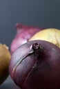 Red and white onions on a dark background Royalty Free Stock Photo