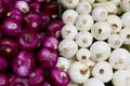 Red and white onions on display Royalty Free Stock Photo