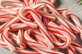 Red and White Peppermint Mini Candycanes Royalty Free Stock Photo