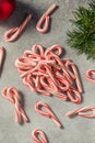 Red and White Peppermint Mini Candycanes