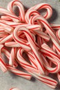 Red and White Peppermint Mini Candycanes Royalty Free Stock Photo