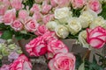 Red, white and pink blooming roses backdrop at florist. Royalty Free Stock Photo