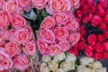 Red, white and pink blooming roses backdrop at florist.