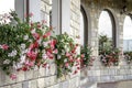 Red, white and pink flowers Royalty Free Stock Photo